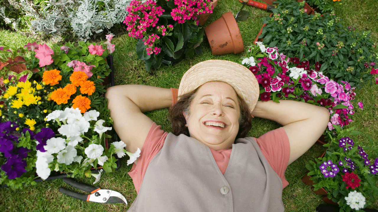 Read more about the article The Healing Power of Nature: What Science Says About Aging Well